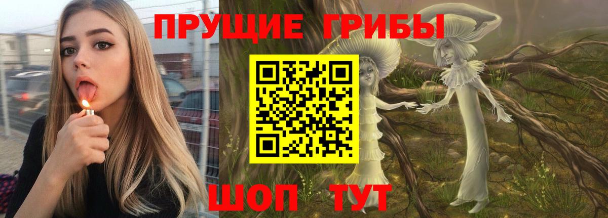 Ишимбай  Галлюциногенные грибы Psilocybine cubensis  Вход с VPN 